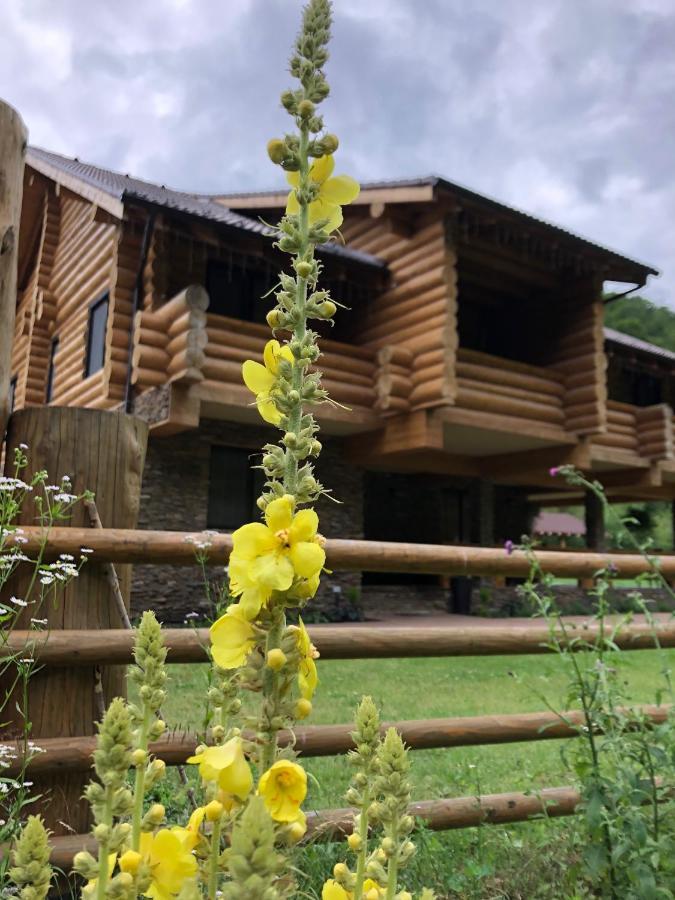 Casa Din Vale Hotel Székelyjó Kültér fotó