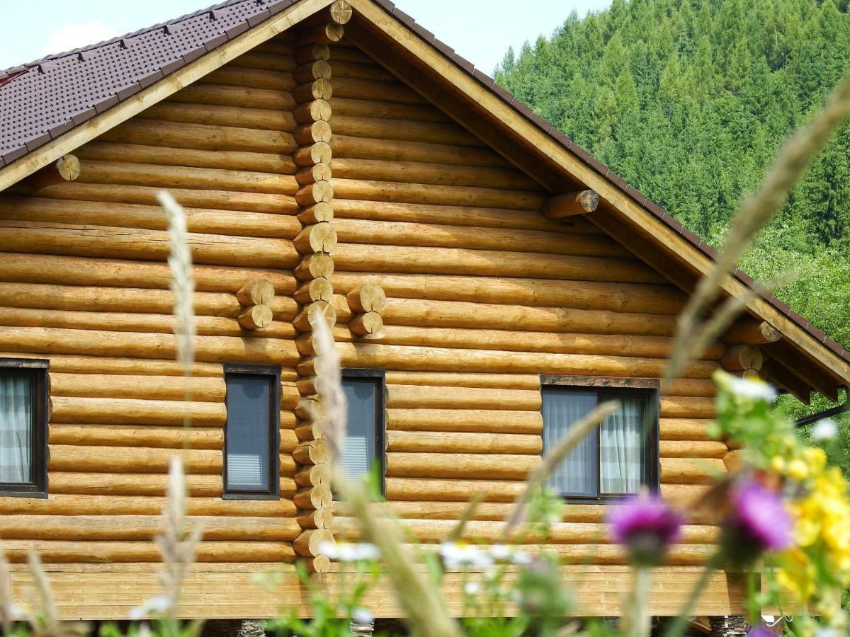 Casa Din Vale Hotel Székelyjó Kültér fotó